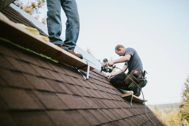 Best Roof Restoration Services  in Patrick Springs, VA
